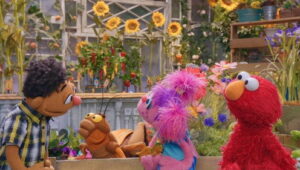 Sesame Street: 54×34
