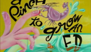 Ed, Edd n Eddy: 1×6