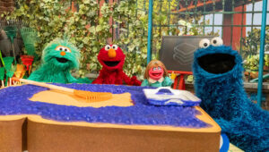 Sesame Street: 55×17