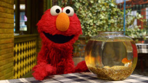Sesame Street: 46×32